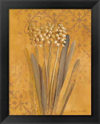 Framed Hyacinth II Print