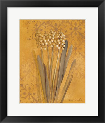 Framed Hyacinth II Print