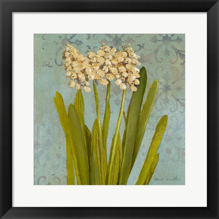 Framed Hyacinth on Teal II Print