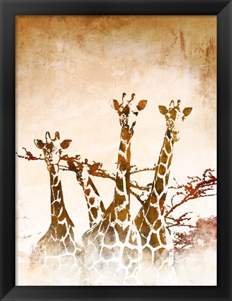 Framed Safari Giraffe II Print