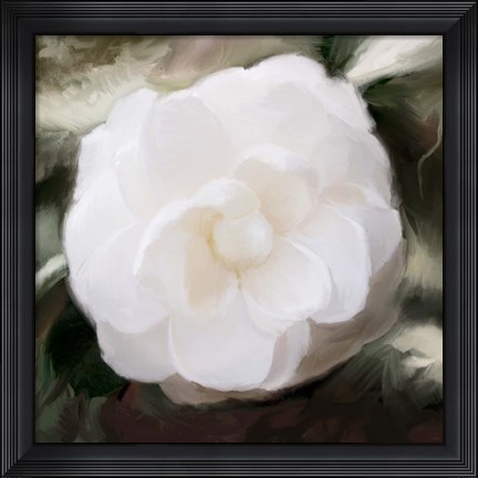 Framed White Flower Print