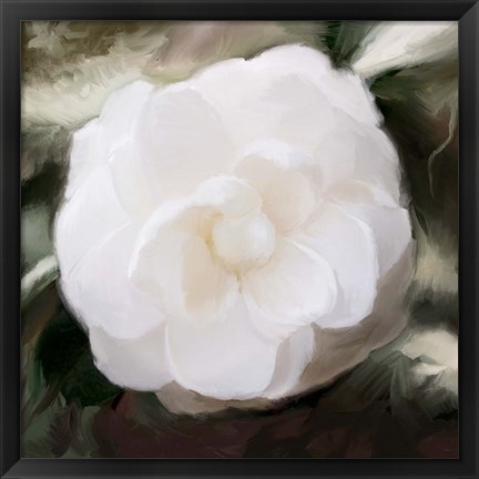 Framed White Flower Print