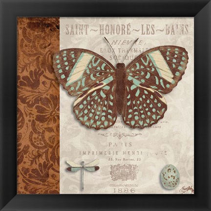 Framed Butterfly on Display I Print