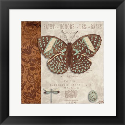 Framed Butterfly on Display I Print