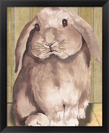 Framed Bunny II Print