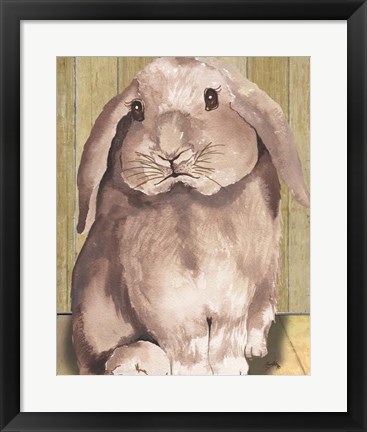 Framed Bunny II Print