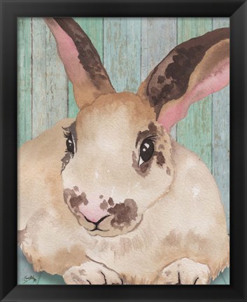 Framed Bunny IV Print