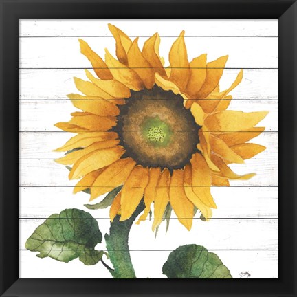 Framed Happy Sunflower II Print