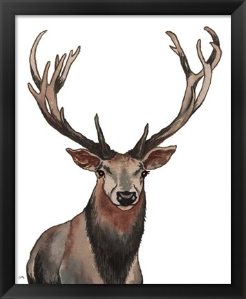 Framed Elk Print