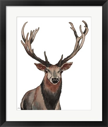 Framed Elk Print