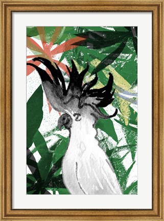Framed Hidden Cockatoo Print