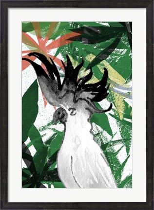 Framed Hidden Cockatoo Print