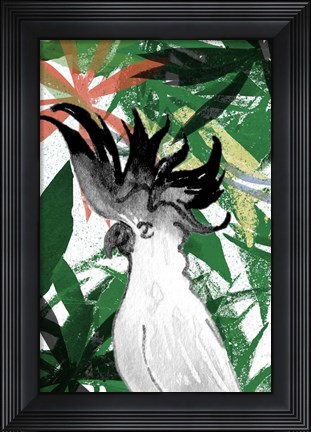 Framed Hidden Cockatoo Print