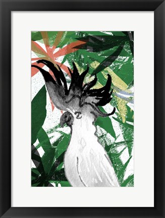 Framed Hidden Cockatoo Print