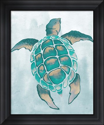 Framed Aquatic Turtle II Print