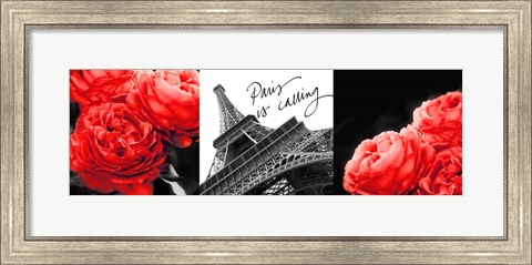 Framed Eiffel Tower Red Roses Print