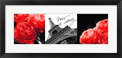 Framed Eiffel Tower Red Roses Print