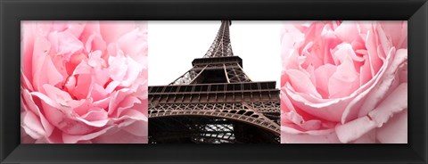 Framed Pink Roses Eiffel Tower Print