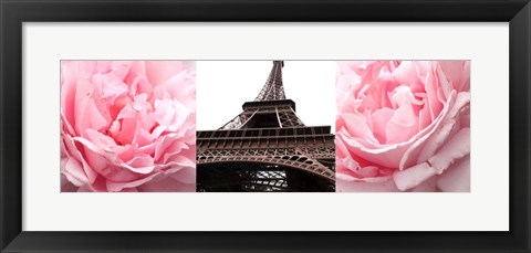 Framed Pink Roses Eiffel Tower Print