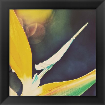 Framed Tropical Floral I Print