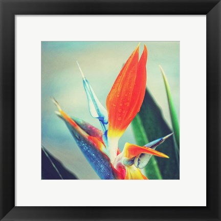 Framed Tropical Floral II Print