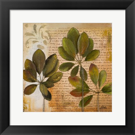 Framed Botanica I Print