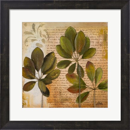Framed Botanica I Print