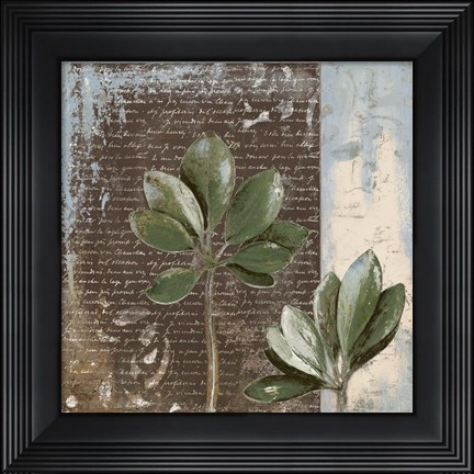 Framed Botanica on Blue II Print