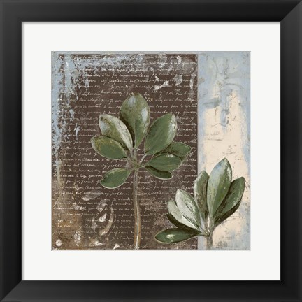 Framed Botanica on Blue II Print