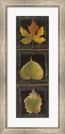 Framed Three Leaves I Print