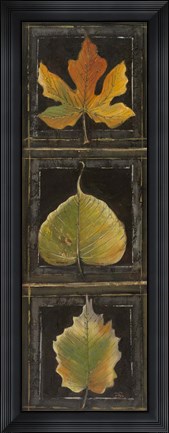 Framed Three Leaves I Print