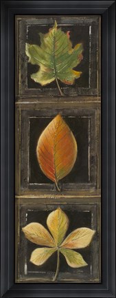 Framed Three Leaves II Print