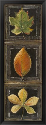 Framed Three Leaves II Print