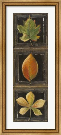 Framed Three Leaves II Print