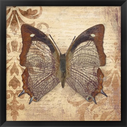 Framed Butterfly Print