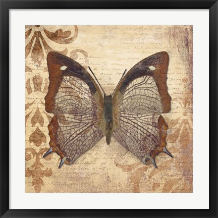 Framed Butterfly Print