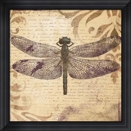 Framed Dragonfly Print