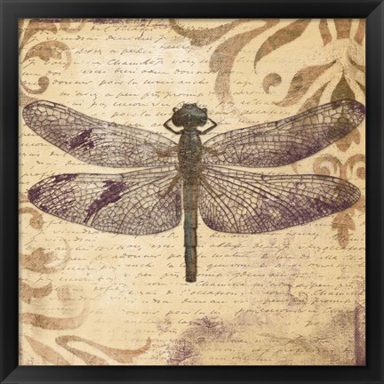 Framed Dragonfly Print