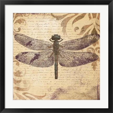 Framed Dragonfly Print