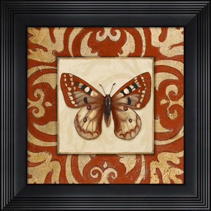 Framed Moroccan Butterfly I Print
