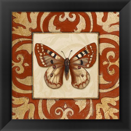 Framed Moroccan Butterfly I Print