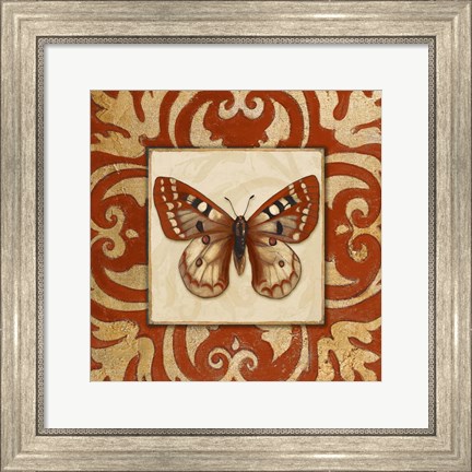 Framed Moroccan Butterfly I Print