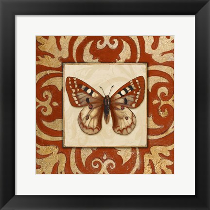 Framed Moroccan Butterfly I Print