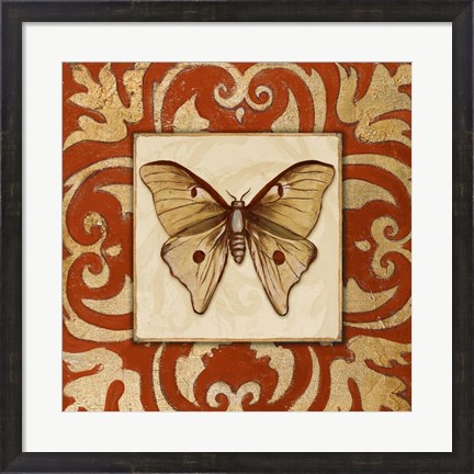 Framed Moroccan Butterfly II Print