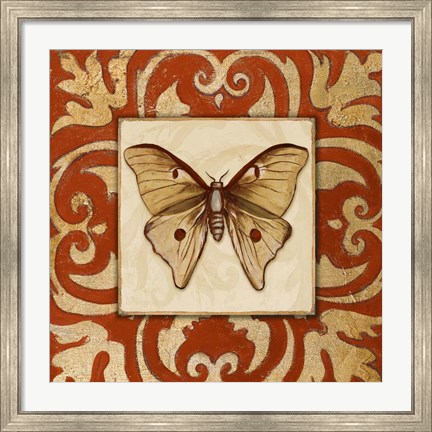 Framed Moroccan Butterfly II Print