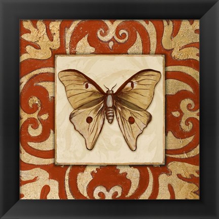 Framed Moroccan Butterfly II Print