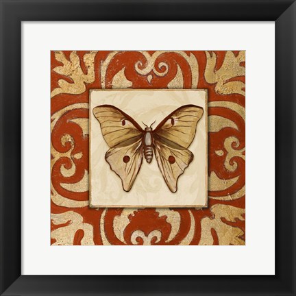 Framed Moroccan Butterfly II Print