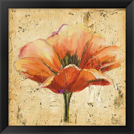 Framed Poppy III Print