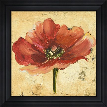 Framed Poppy IV Print