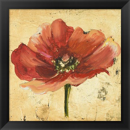 Framed Poppy IV Print